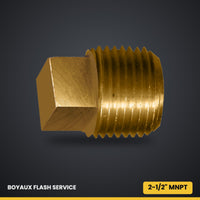 Bouchon à tête carrée en laiton MNPT 2-1/2"
