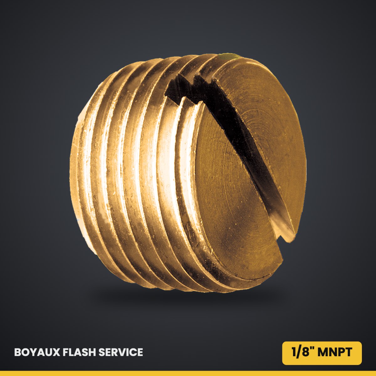 Bouchon à tête fendue en laiton MNPT 1/8"