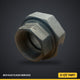 Union en acier noir 2-1/2" FNPT — BI-104-N