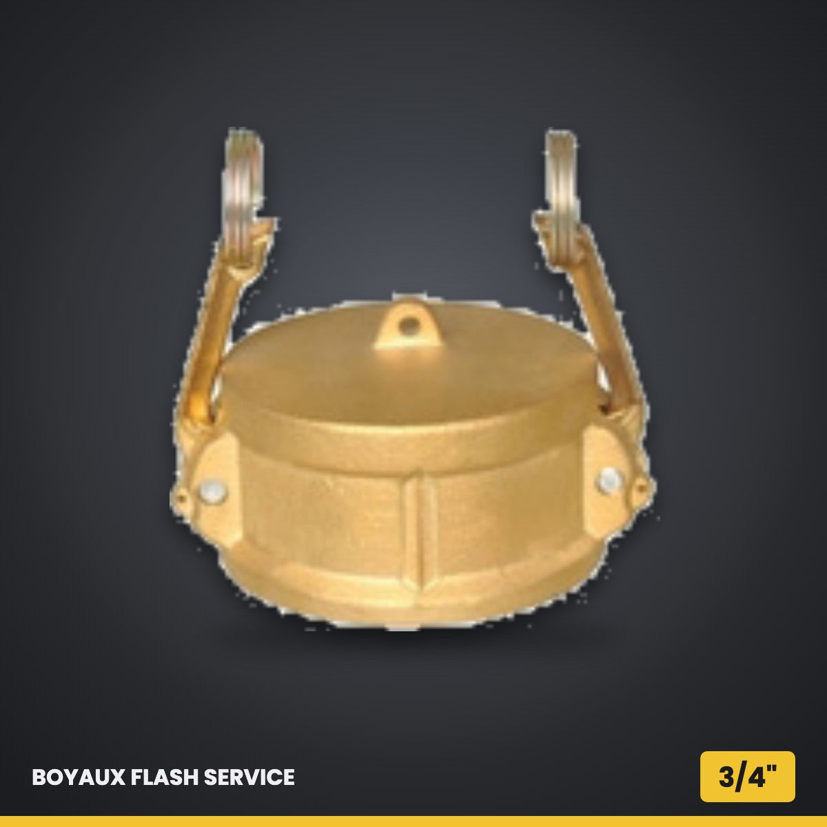 Bouchon femelle Camlock (Dust Cap) en laiton 3/4" Standard